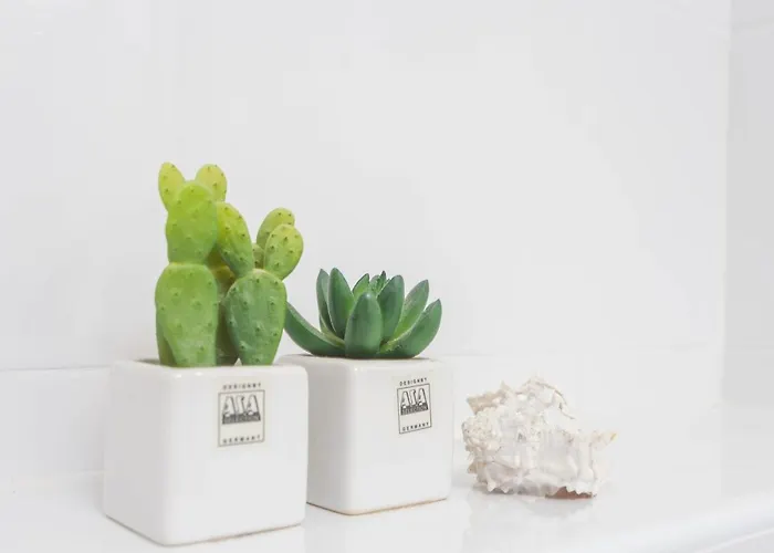 Maras Apartman Makarska